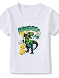 Children's T-shirt Numbers 1-9 Birthday T-shirt